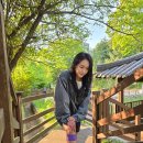 조이메디컬 | 등산 무릎보호대 추천 내돈내산 잠디 메디컬 N밴드 슬개건 무릎보호대