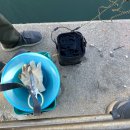 씨유 속초아바이점 이미지