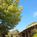 가나제주여행사 이미지