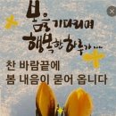 효치