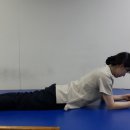 아급성기 자가운동법3 (플랭크운동 -Prone plank abdominal progression) 이미지