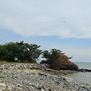 천수만해상낚시공원 | 홍성 궁리항(충남 홍성군 서부면 궁리) &amp; 공주 솥뚜껑 매운탕