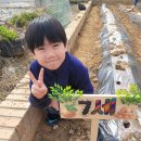 버클리 어린이집 이미지