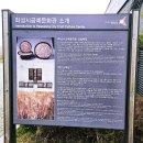 정말공원 | 화성 매향리 평화생태공원 후기 – 아이와 가기 좋은 넓은 공원, 곧 꽃 필 것 같은 봄 산책