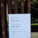 테라로사 서귀포지점 | 제주 서귀포 힐링 카페 테라로사 서귀포점 금귤자몽에이드, 밀키초콜릿 후기