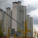 포항시남구45 이미지