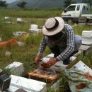 동원농장 2 이미지