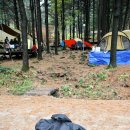 승엽농장 | 강원횡성 청태산자연휴양림 가을캠핑