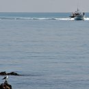 꿈꾸는 바다 이미지