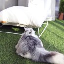 보은메디칼 이미지