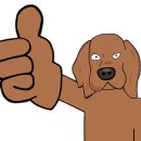 더 개편한세상 이미지