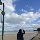 12월 규슈여행4[후쿠오카](후쿠오카 박물관, 후쿠오카타워, 로피아 하카타 요도바시점)