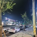 청초호유원지(북측) 이미지