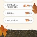 링크성형외과의원 이미지