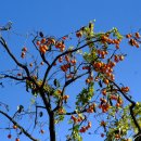 마동 탑마을 이미지