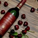 바이오플래닛 이미지