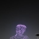 드론본앨범