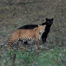 서울특별시교육청교육연구정보원 이미지