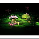 초록세상 이미지