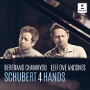 schubert - allegro for piano four-hands in a minor op.144 "lebenssturme" 이미지