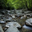 지곡유원지 이미지