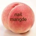 네일망드 (nail mangde)