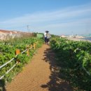 청림운동장 화장실 이미지