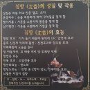 서울석유㈜탑주유소 | 베트남 호치민 무이네 여행