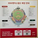 순살싸다리치킨 SSG랜더스필드점 | 야구장 간식 추천, SSG 랜더스필드(+내야패밀리석 직관 시야)