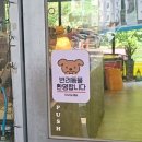 파주운정) 3번째 찾아간 애견동반 수제버거 맛집 &#39;틴틴스버거&#39; 내돈내산 후기