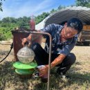 당진시농업기술센터 이미지