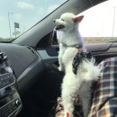 은모래민박 이미지