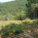 덕장농장 이미지