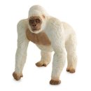 반디소프트 이미지