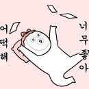 팔봉산관광지 | 2025.07.26 [유정피싱] 계곡낚시 동출 후기 (홍천 팔봉산 관광지)