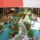 광산구-119 | 광주 광산구 맛집 현지맛 제대로 느낀 쌀국수 맛집 콘타이