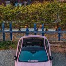 에스개러지 이미지