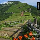 동아(아)제2경로당 | 부부동반 풀코스 완주(경주동아마라톤)