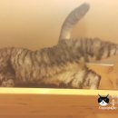 호텔구구 이미지