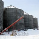 현대농장(4) 이미지