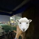 지에스(GS)25 하당광장점 이미지