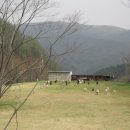 금학산 목장 이미지