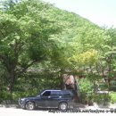 만인산자연휴양림 이미지