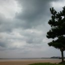 제주 대전 아줌마 민박 이미지