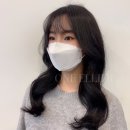 원엘리어헤어