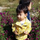 홍남농장 이미지