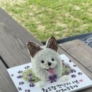 멈머(mummuh) 이미지