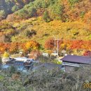 어의지 입구 이미지