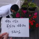 멋진 붓글씨 이미지