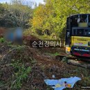 순천장의사